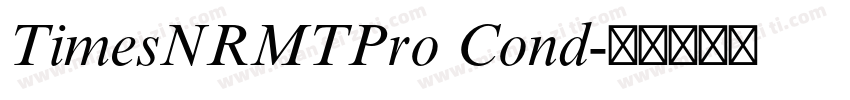 TimesNRMTPro Cond字体转换